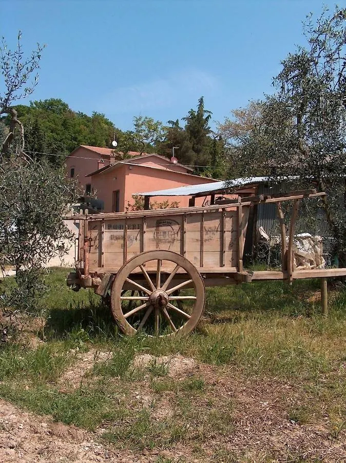 Agriturismo Il Loghino Palaia