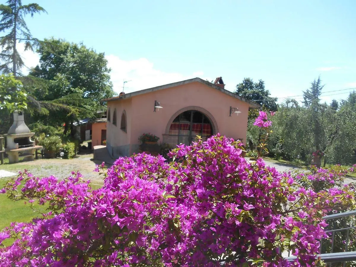 Farm stay Agriturismo Il Loghino Palaia