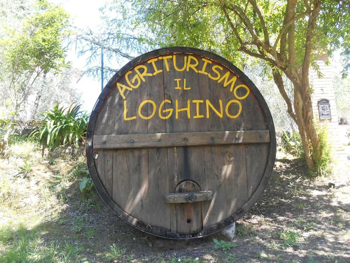Agriturismo Il Loghino Palaia 0*,  Włochy